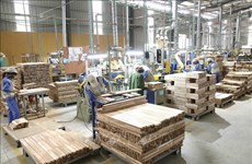 Ventas de madera de Vietnam a EE.UU. por alcanzar 10 mil millones de dólares
