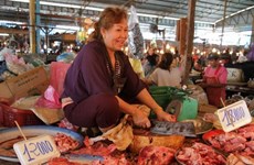Laos prohíbe la importación de ciertos tipos de productos agrícolas