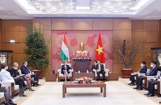 Vietnam y Hungría por vigorizar relaciones de cooperación 