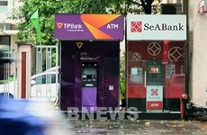 Aumenta demanda de uso de aplicación bancaria en vísperas del Tet