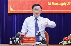 Presidente parlamentario vietnamita trabaja en provincias de Ca Mau y Dong Nai