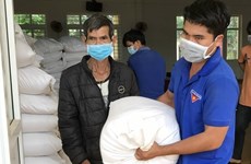 Suministran arroz a localidades vietnamitas en ocasión del Tet