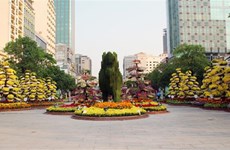 Calle de flores en Ciudad Ho Chi Minh da bienvenida al Año Nuevo Lunar