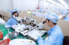 Producción industrial de Vietnam crece 2,4 por ciento en enero