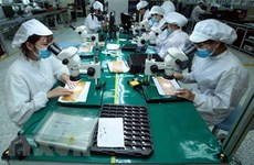 Los TLC seguirán impulsado crecimiento económico de Vietnam en 2022
