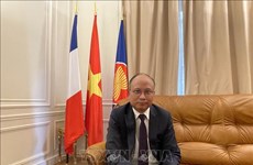 Embajador laosiano felicita a diplomáticos vietnamitas en Francia con motivo del Tet
