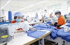 Vietnam por promover programa de estímulo económico de manera integral