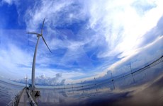 India y ASEAN pueden desarrollar un ecosistema completo para energías renovables