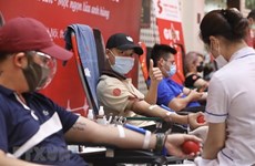 Lanzarán en Hanoi festival de donación de sangre “Primavera Roja” en febrero