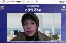 Economía verde creará millones de nuevos puestos laborales para Indonesia