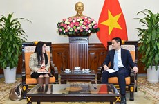 Vietnam busca fortalecer cooperación con órganos de la ONU 