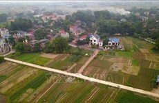 Provincia vietnamita de Bac Giang planea cumplir criterios avanzados de nuevas zonas rurales