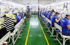 Empresas en provincia vietnamita de Binh Duong necesitan hasta 50 mil trabajadores