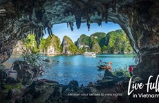 Aumentan búsquedas internacionales sobre el turismo en Vietnam