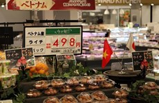 Existe gran espacio para la exportación de productos agrícolas vietnamitas a Japón