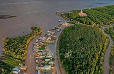Provincias deltaicas vietnamitas por ser modelo de adaptación al cambio climático