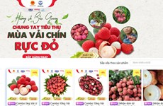 Provincia vietnamita de Bac Giang promueve consumo de productos agrícolas en plataformas electrónicos