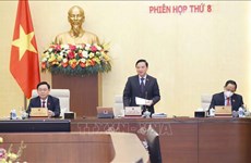 Parlamento de Vietnam considera la agregación del derecho de autor sobre símbolos patrios 