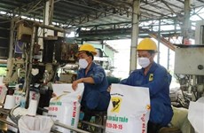 En alza exportaciones de fertilizantes de Vietnam en enero