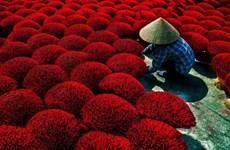 Imagen sobre Vietnam gana premio en Concurso Internacional de Fotografía Ambiental CEFF