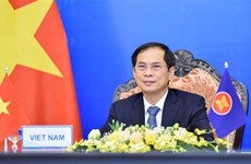 Canciller vietnamita asiste a Reunión ministerial de ASEAN en forma virtual 