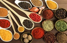 Oportunidades de exportación de especias y aromas de Vietnam a India