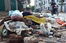 Ciudad Ho Chi Minh refuerza la gestión y reducción de residuos plásticos