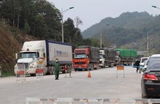 Despacho de mercancías en puertas fronterizas de Vietnam con China enfrenta dificultades