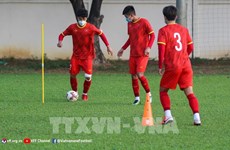 Vietnam dispuesto a jugar con Tailandia en Campeonato de fútbol regional