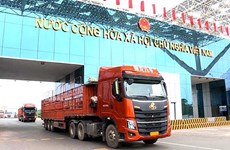 Aduana de provincia vietnamita atiende a centenares de empresas desde inicios del año