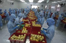 Vietnam por ampliar mercados receptores para sus frutas y verduras