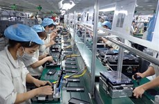 Estructura de productos vietnamitas exportados a Singapur se mantiene estable