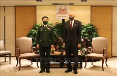Vietnam y Singapur robustecen cooperación en defensa