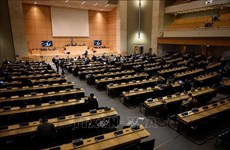 Vietnam participa en sesión 49 del Consejo de Derechos Humanos de la ONU
