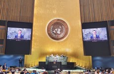 Vietnam pide diálogo y protección de civiles en sesión especial de Asamblea General de la ONU sobre Ucrania