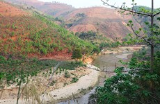 Publican en Vietnam estadísticas sobre recursos de suelo