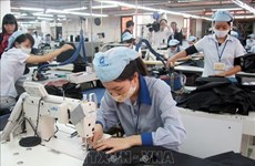 Provincia vietnamita de Dong Nai reporta superávit comercial