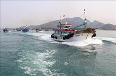 Provincia vietnamita de Tien Giang trabaja contra la pesca ilegal