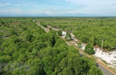 BAD brinda asistencia millonaria para desarrollo forestal sostenible en Sudeste Asiático