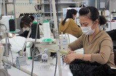 Empresa japonesa ayuda a vietnamitas en búsqueda de trabajo en Japón