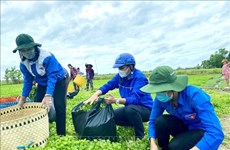Mes de la Juventud 2022: unidos para construir nueva zona rurales en Vietnam