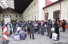Ciudadanos vietnamitas en vuelos de repatriación de Ucrania no necesitan someterse a prueba del COVID-19