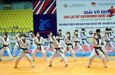 Torneo de taekwondo conmemora 30 años de lazos Vietnam-Corea del Sur