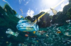 Indonesia y Australia cooperan en mitigación de contaminación oceánica