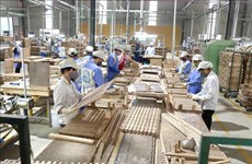 Expertos recomiendan al sector maderero de Vietnam aprovechar materias primas nacionales