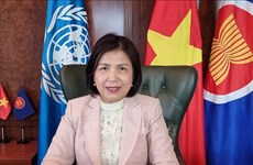 Participa Vietnam en actividades sobre igualdad de género