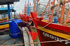 Pescadores vietnamitas participan en trabajo de protección ambiental