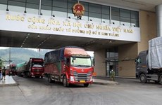 Actualizan a empresas vietnamitas trámite de exportación de almidón a China