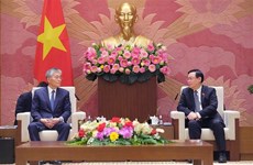 Titular del Legislativo vietnamita recibe al presidente del grupo japonés Erex 