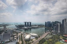 Singapur emite pase electrónico para visitantes extranjeros